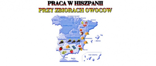 sezonowe zbiory truskawek w hizpanii