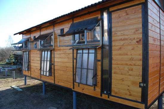 Gołębniki 200x600 solidny wysyłka 0zł + wloty gołąb