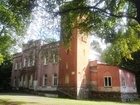 Suliszewo, okolice Drawska Pomorskiego, pałac, sprzedaż, 1455 m2,